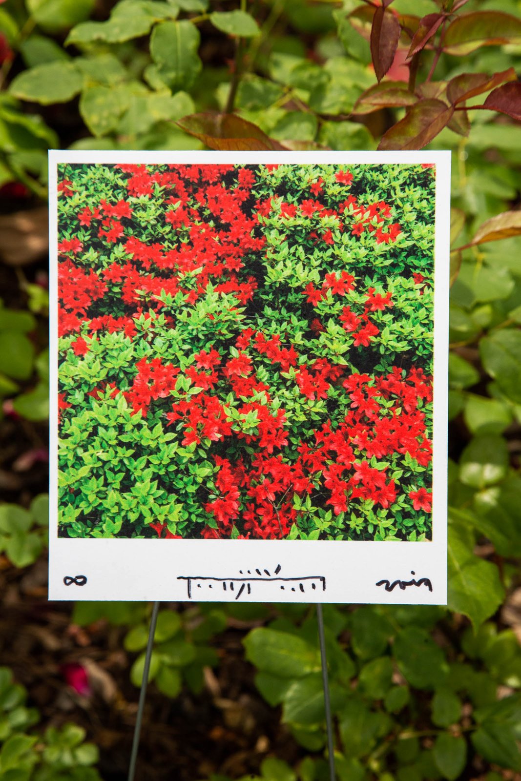 G's Instagram Show — project documentation 13