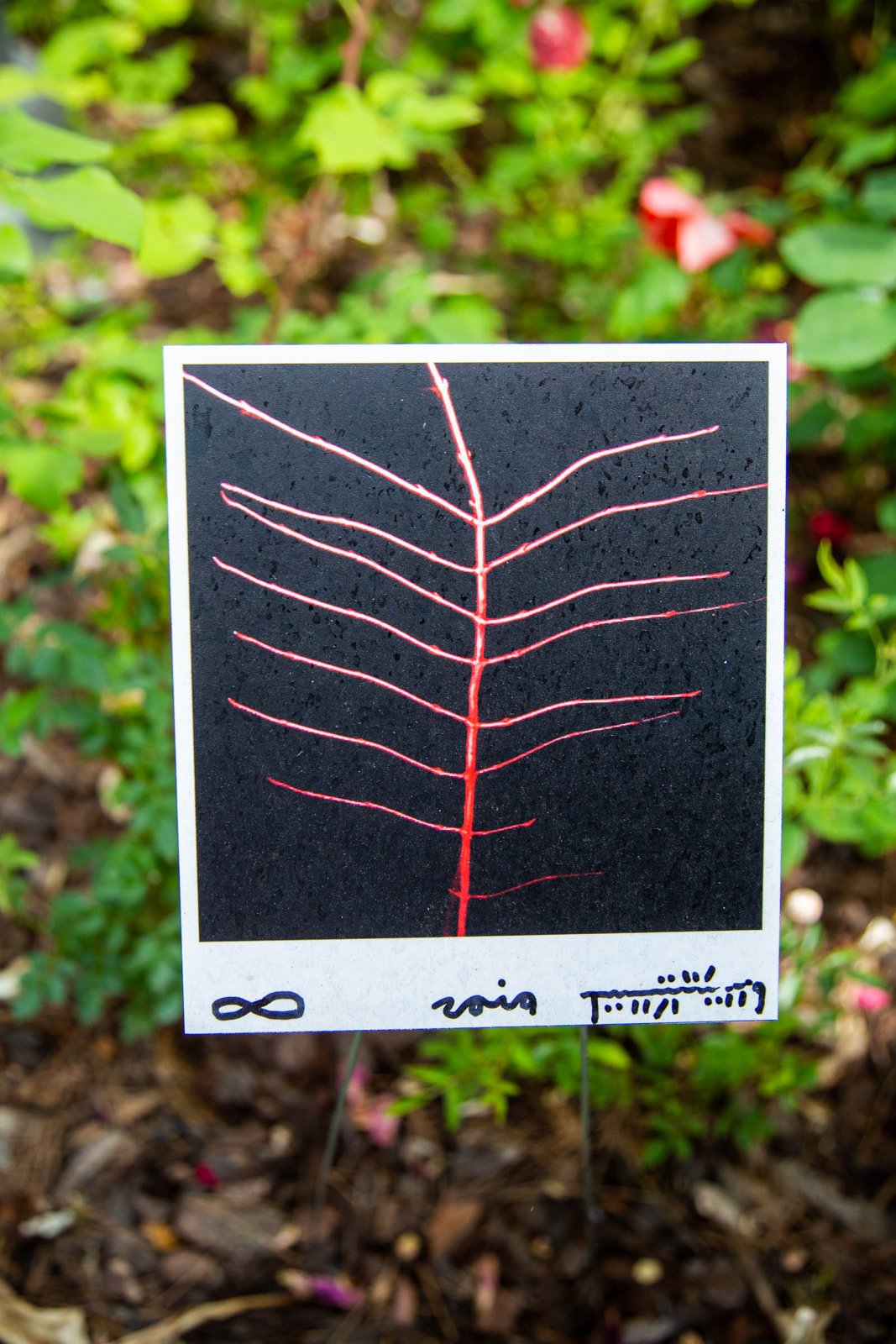 G's Instagram Show — project documentation 15