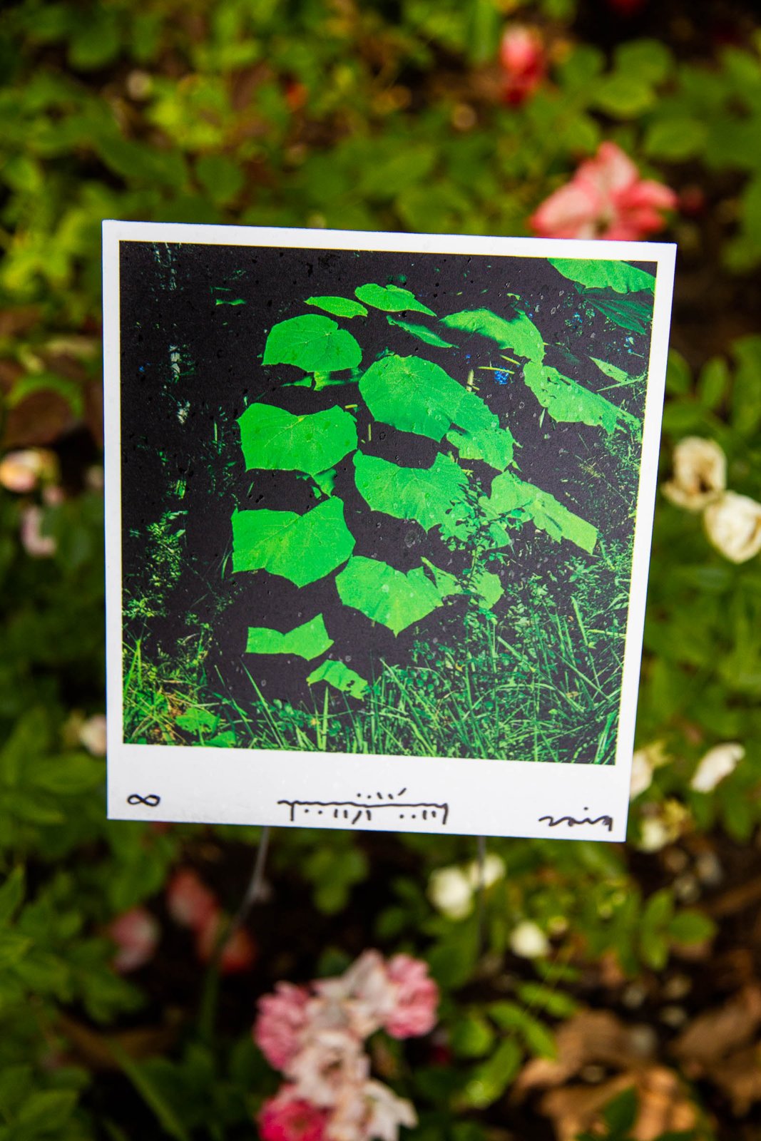 G's Instagram Show — project documentation 16