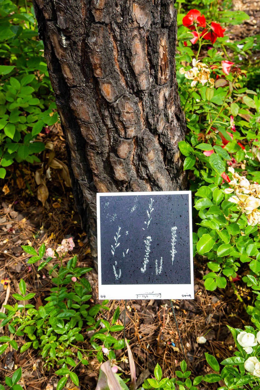 G's Instagram Show — project documentation 17
